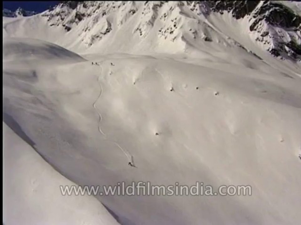 Aerial-chopper-dvd-104-5