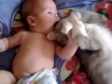 Un joli mement de tendresse entre un bébé et un chat