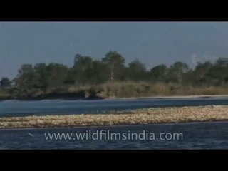Arunachal-River-DVD-127-1