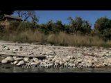 Arunachal-River-DVD-127-12