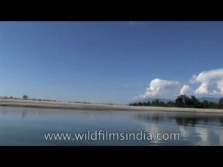 Arunachal-River-DVD-127-19