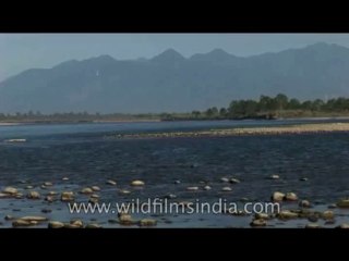 Arunachal-River-DVD-127-2