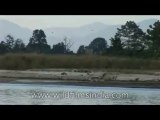 Arunachal-River-DVD-127-6