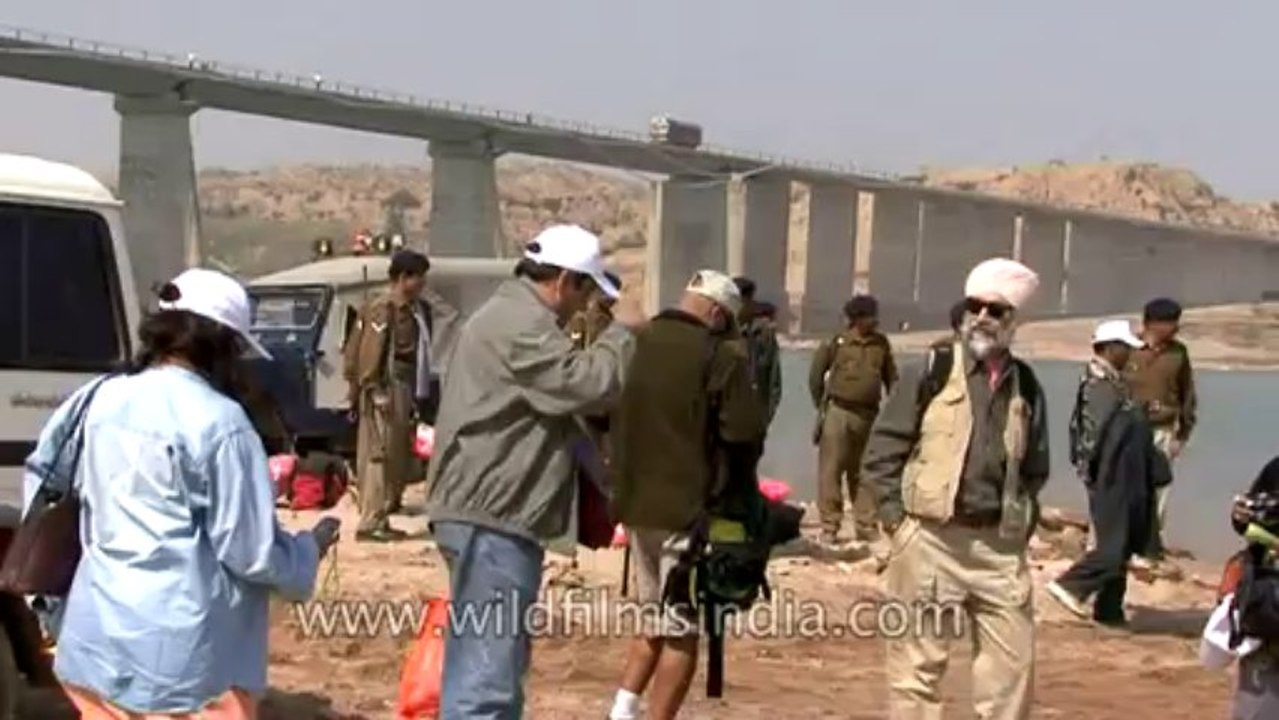 Chambal-hdv-2-10