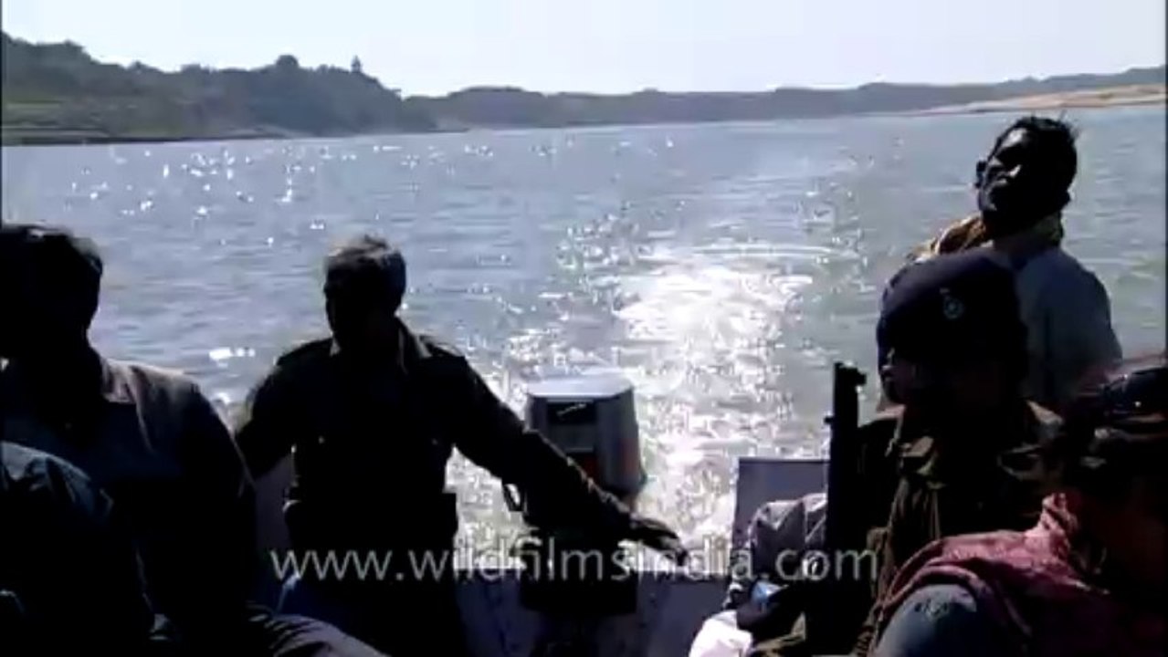Chambal-hdv-tape-4-9