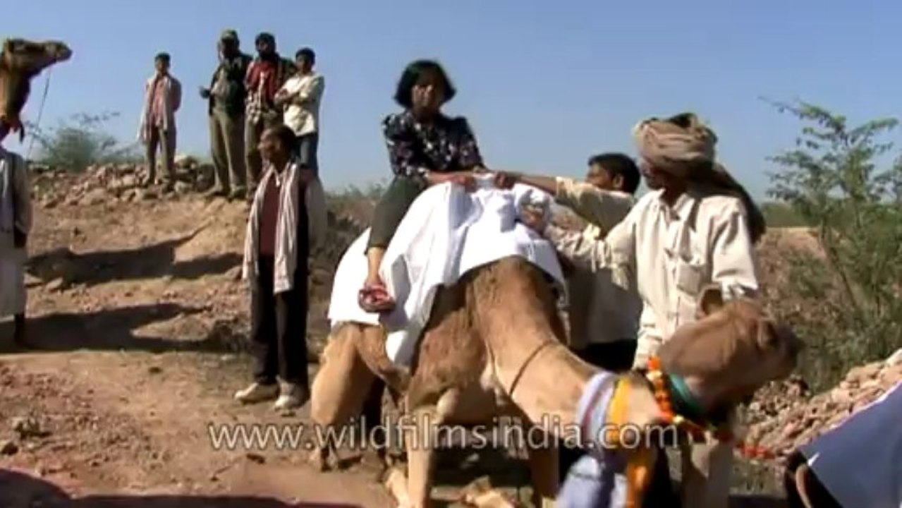 Chambal-hdv-tape-7-8