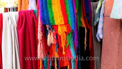 Dilli-Haat-Clothes-Shop-2