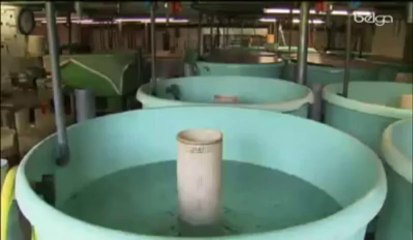 La lotte est de retour dans nos rivières