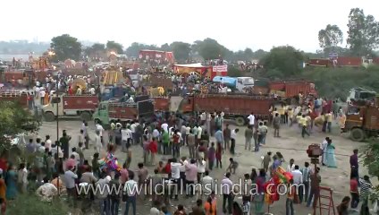 Durga puja-CR park-Card-Time lapse-3-11