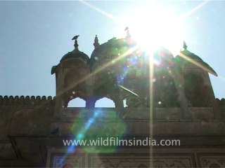 DVD-101-rajasthan-pushkar-7-1