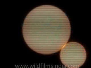 DVD-106-nature-solareclipse-1-1