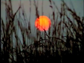 DVD-129-landscape-sunset-1-2