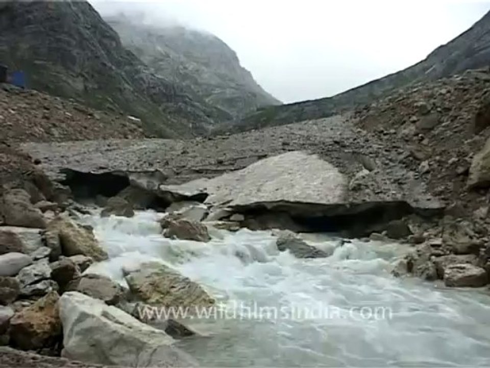 DVD-74-landscape-misc-5-1