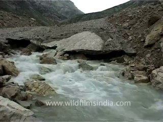 DVD-74-landscape-misc-5-2