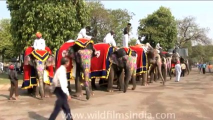 DVD-87-festivals-holi-2-2