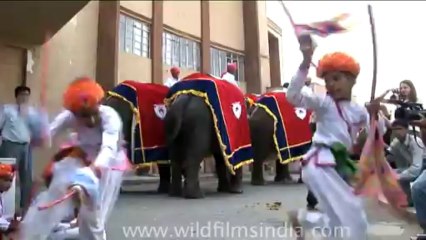 DVD-87-festivals-holi-5-2