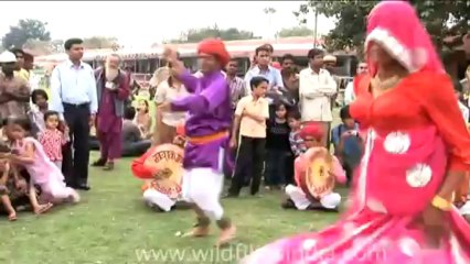 DVD-90-festivals-holi-12-3