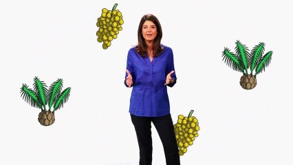 Huile de palme : quel impact sur la santé et l'environnement (Flash conso - Greenpeace)