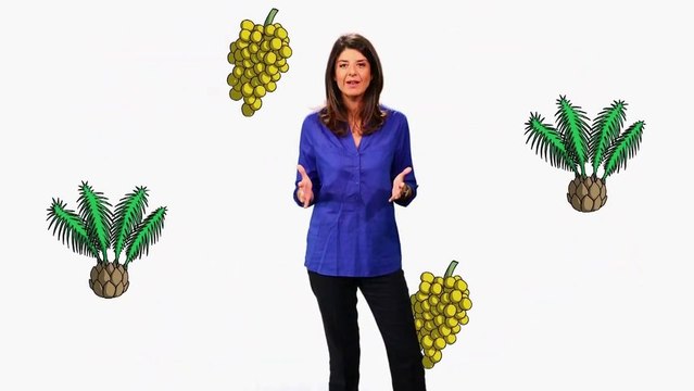 Huile de palme : quel impact sur la santé et l'environnement (Flash conso - Greenpeace)