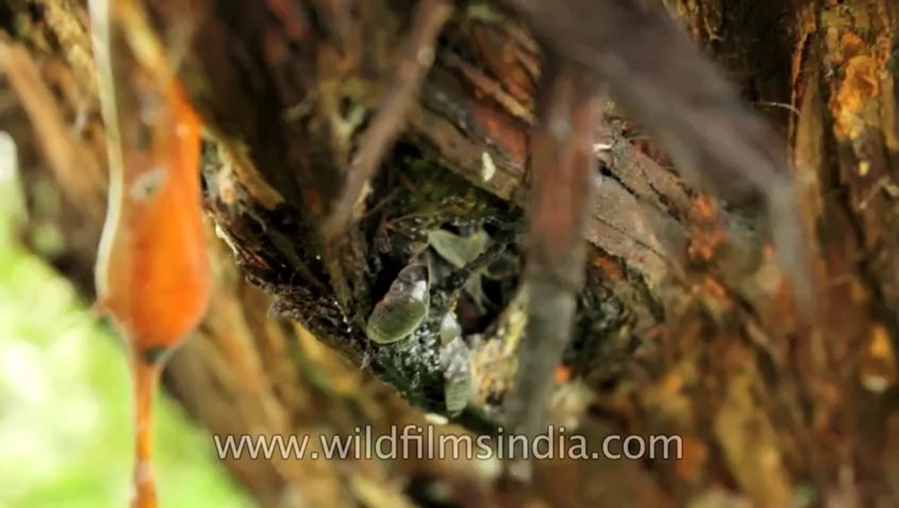 Ghoti-Bhandardara-15