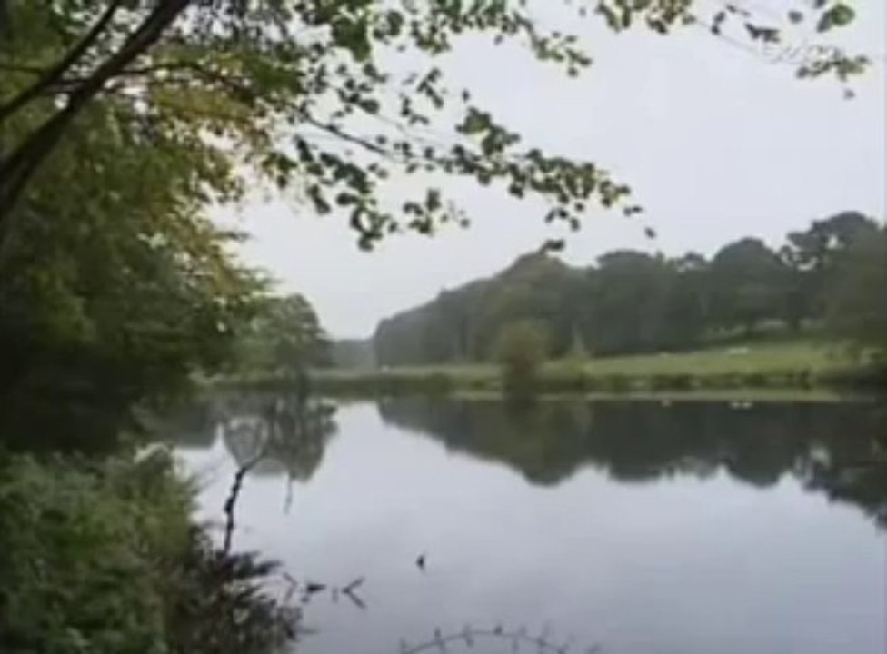 Le patron de Segway se tue ... aux commandes d'un Segway