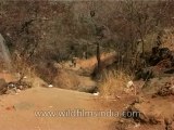 Karnataka-Cauvery-DVD-121-1