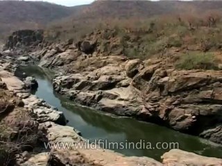 Karnataka-Cauvery-DVD-121-2