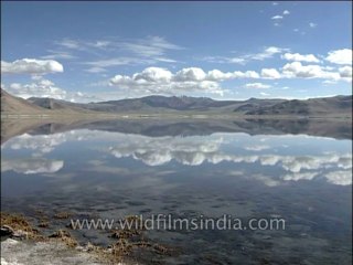 Landscape-Ladakh-Dvd-136-1