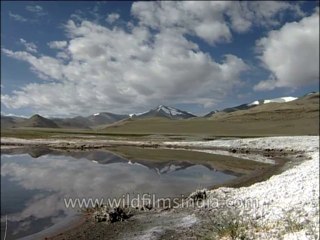 Landscape-Ladakh-Dvd-136-2
