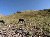 Landscape-Ladakh-dvd-86-2