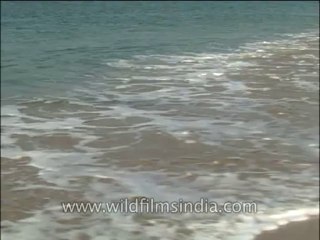 Landscape-Sea-DVD-140-1