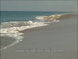 Landscape-Sea-DVD-140-2