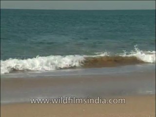 Landscape-Sea-DVD-140-4