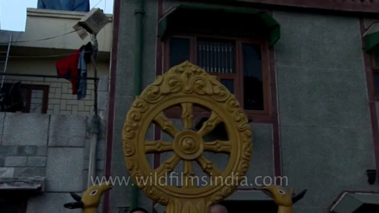 Monks chanting-Garo-chives flower-Tape 1-3-1