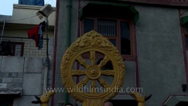 Monks chanting-Garo-chives flower-Tape 1-3-1