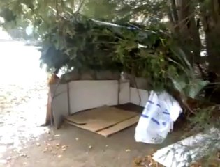 A Etterbeek, elle vivait sous des branchages