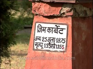 Uttaranchal-Corbett-Dvd-128-10