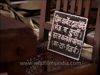 Uttaranchal-Corbett-Dvd-128-12