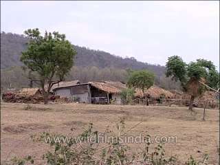 Uttaranchal-Corbett-Dvd-128-18
