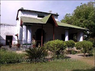 Uttaranchal-Corbett-Dvd-128-14
