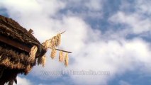 Nagaland-hornbill festival-time lapse