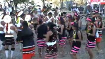 Nagaland-hornbill festival-Zeliang-folk dance-3