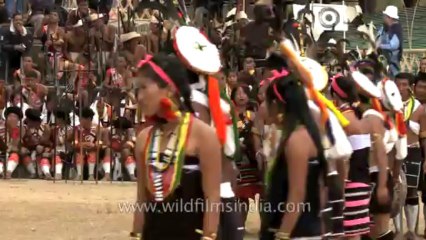 Nagaland-hornbill festival-Zeliang-Skylark dance-1