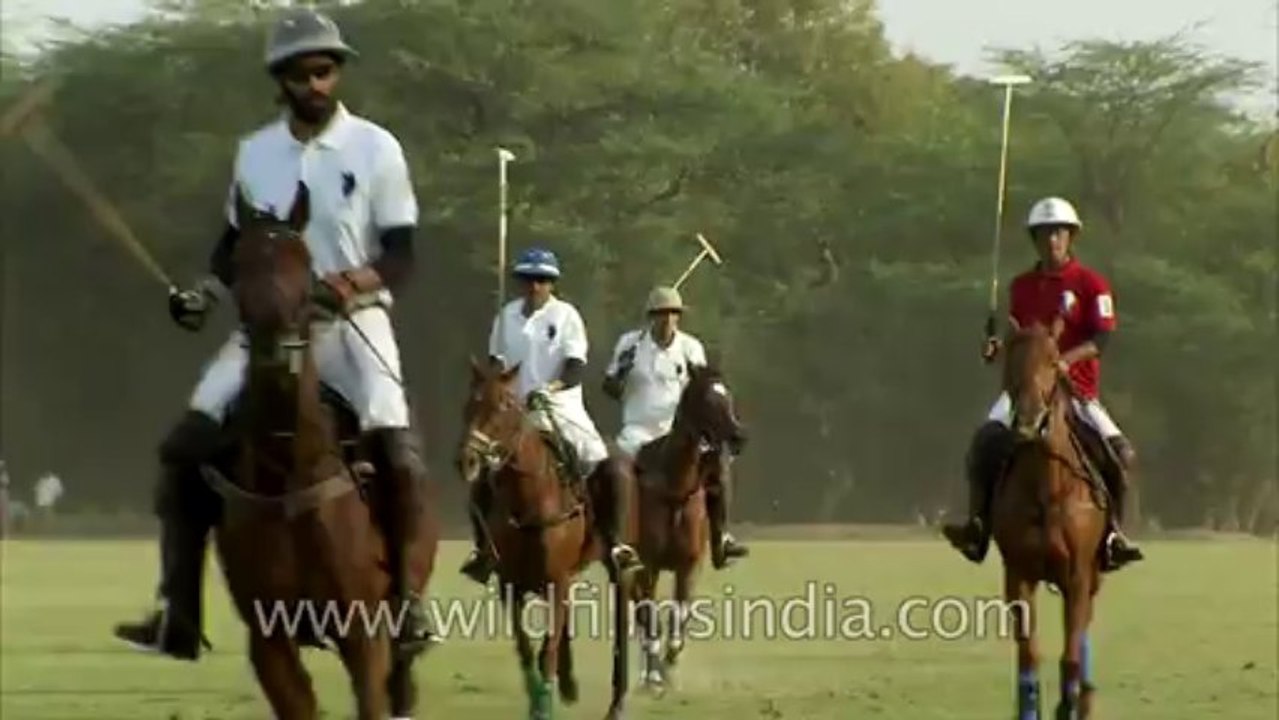President House-P2 camera-Horse polo-14