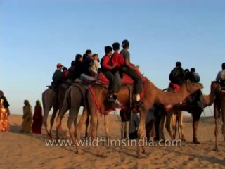 Rajasthan-Jaisalmer-Dvd-119-11