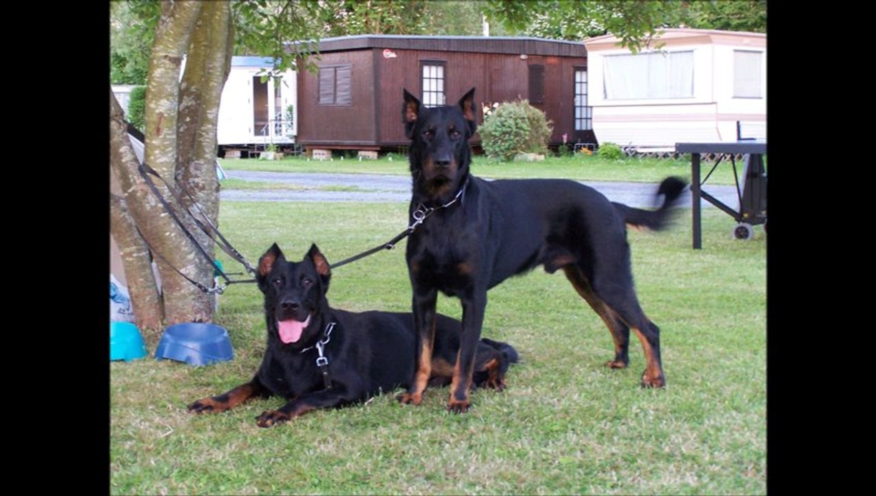 Elevage Des Gardiens de la Nacre