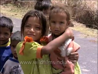 Uttaranchal-Corbett-Dvd-128-21