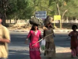 Rajasthan-Jaisalmer-Dvd-119-9