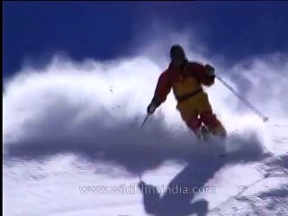 Sport-heliskiing-12
