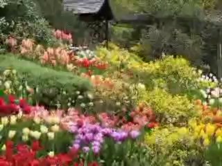 thợ sửa chữa diện nuoc tại quận 11#0973982818!tp.hcm